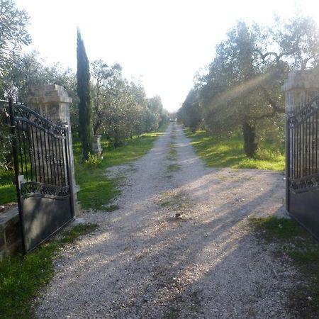 Farm Agriturismo Masseria Chiusurella Villa Corato Exterior foto