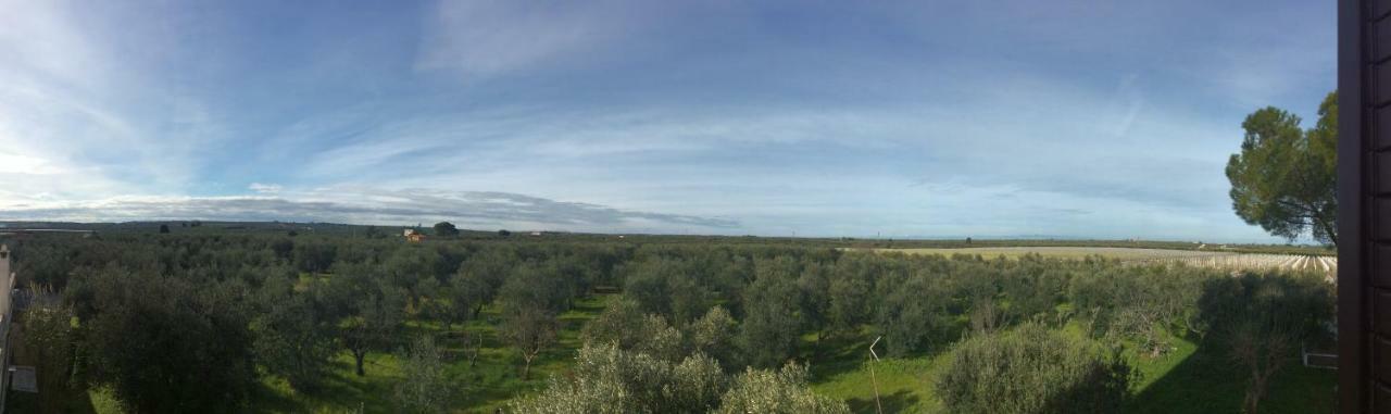 Farm Agriturismo Masseria Chiusurella Villa Corato Exterior foto